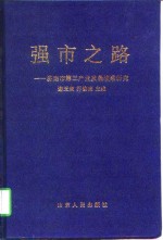 强市之路  济南市第三产业发展战略研究