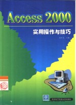 Access 2000实用操作与技巧