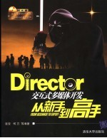 Director交互式多媒体开发从新手到高手