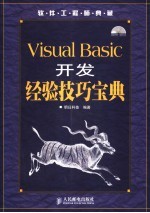 Visual Basic开发经验技巧宝典