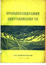 国外前寒武纪铁硅建造风化淋滤型富铁矿矿床成因理论及找矿方法