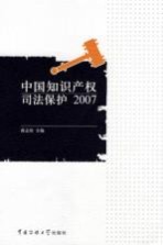 中国知识产权司法保护2007