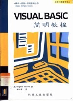 Visual Basic简明教程