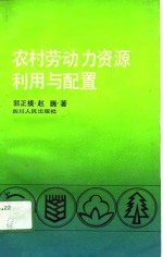 农村劳动力资源利用与配置