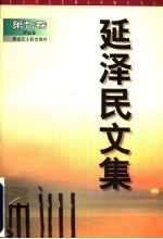 延泽民文集  第7卷  理论卷