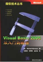 Visual Basic2005从入门到精通