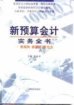 新预算会计实务全书  新规则  新模式  新方法  上