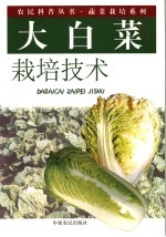 大白菜栽培技术