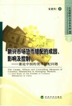 新兴市场货币错配的成因、影响及控制  兼论中国的货币错配问题