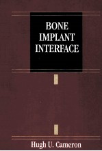 Bone implant interface