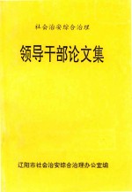 社会治安综合治理  领导干部论文集