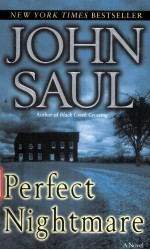 Perfect Nightmare a novel