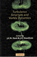 TURBULENCE STRUCTURE AND VORTEX DYNAMICS