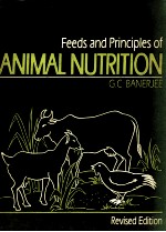 Feeds and principles of animal nutrition