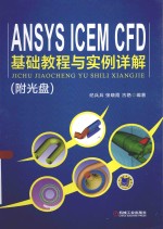 ANSYS ICEM CFD基础教程与实例详解