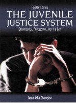 THE JUVENILE JUSTICE SYSTEM  DELINQUENCY