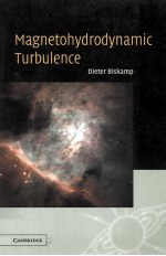 MAGNETOHYDRODYNAMIC TURBULENCE