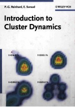 INTRODUCTION TO CLUSTER DYNAMICS