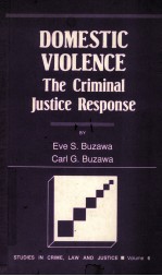 DOMESTIC VIOLENCE  THE CRIMINAL JUSTICE RESPONSE