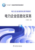 电力企业信息化系列教材  电力企业信息化实务