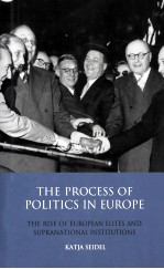 THE PROCESS OF POLITICS IN EUROPE  THE RISE OF EUROPEAN ELITES AND SUPRANATIONAL INSTITUTIONS