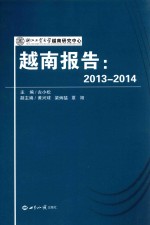 越南报告  2013-2014