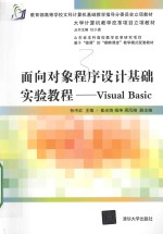 面向对象程序设计基础实验教程  VISUAL BASIC