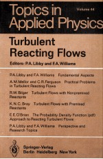 TURBULENT REACTING FLOWS