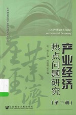 产业经济热点问题研究  第3辑