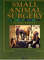 Small Animal Surgery