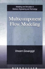 MULTICOMPONENT FLOW MODELING