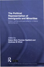 THE POLITICAL REPRESENTATION OF IMMIGRANTS AND MINORITIES  VOTERS