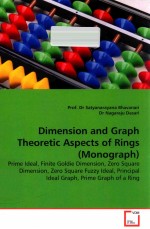 dimension and graph theoretic aspects of rings (monograph) prime ideal finite goldie dimension zero 