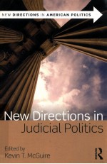 new directions in judicial politics