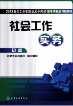 2013社会工作者职业水平考试备考精要及习题精练  社会工作实务  初级