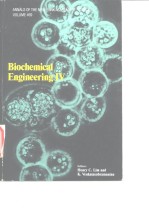 Biochemical engineering IV.1986.