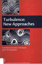 TURBULENCE:NEW APPROACHES