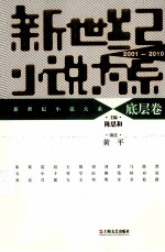 新世纪小说大系  2001-2010  底层卷