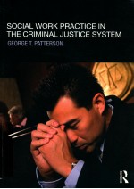 social work practice in the criminal justice system