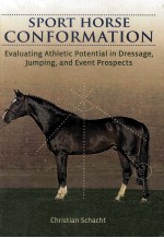 SPORT HORSE CONFORMATION