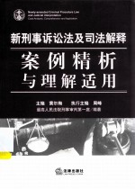 新刑事诉讼法及司法解释案例精析与理解适用