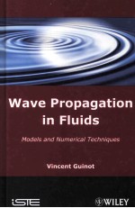 WAVE PROPAGATION IN FLUIDS MODELS AND NUMERICAL TECHNIQUES