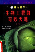 魅力科学  生物工程的奇妙天地  下