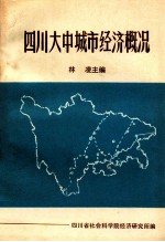 四川大中城市经济概况  下