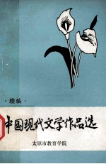 中国现代文学作品选  续编