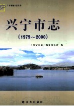 兴宁市志  1979-2000