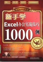 新手学Excel 2007办公实战技巧1000例