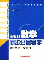 新教材数学  同步·分层·导学  九年级第一学期用