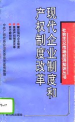 现代企业制度和产权制度改革