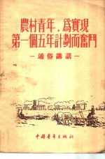 农村青年，为实现第一个五年计划而奋斗  通俗讲话